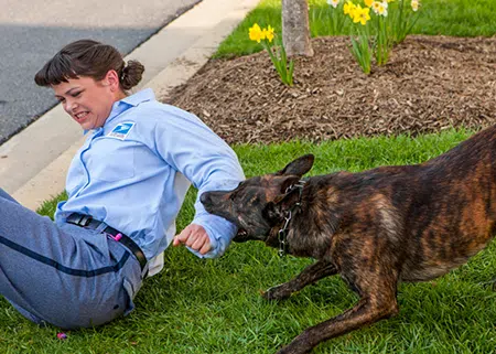 dog attacking postal worker