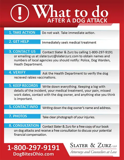 should you put a dog down for biting