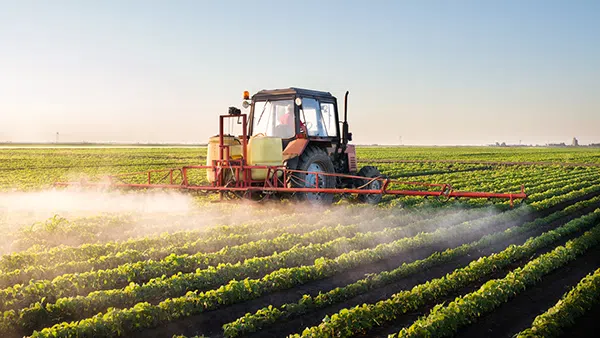 Dangerous pesticide Paraquat