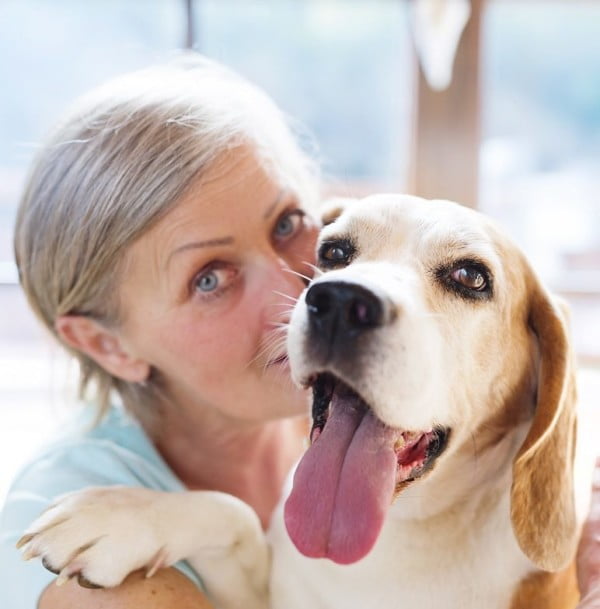 Avoiding-dog-attacks-and-preventing-dog-bites