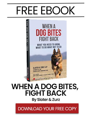 Dog-Bite-Lawyer-eBook
