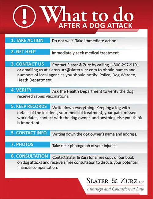 What To Do After A Dog Bite Magnet