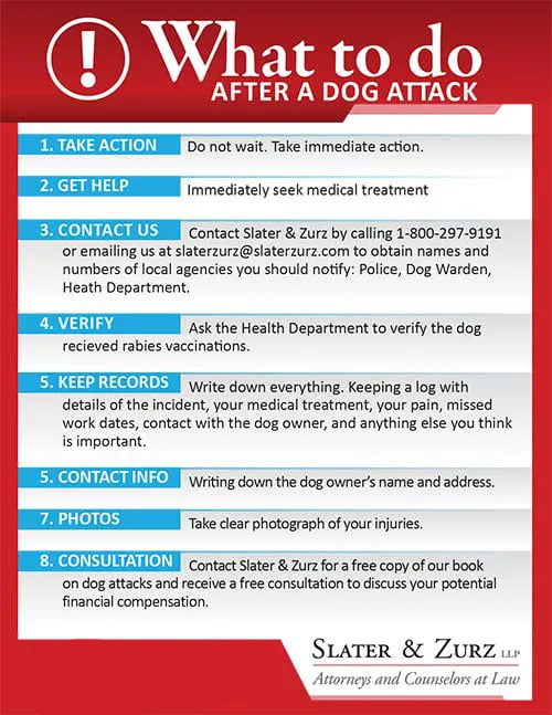 Dog clearance bite stings