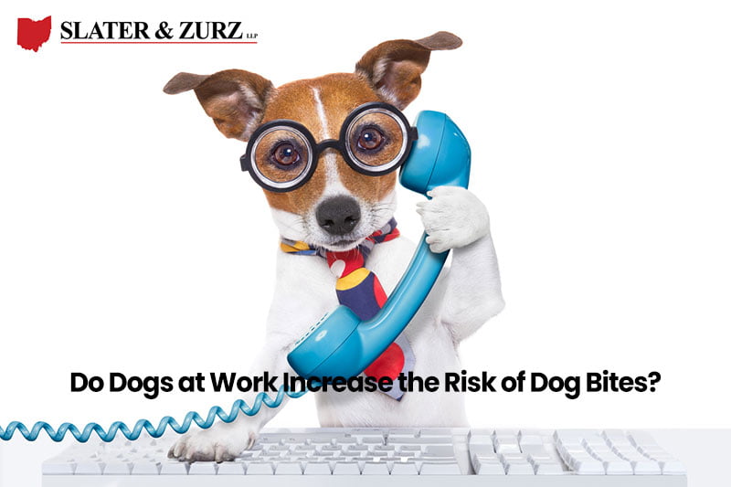 dogs at work and dog bites
