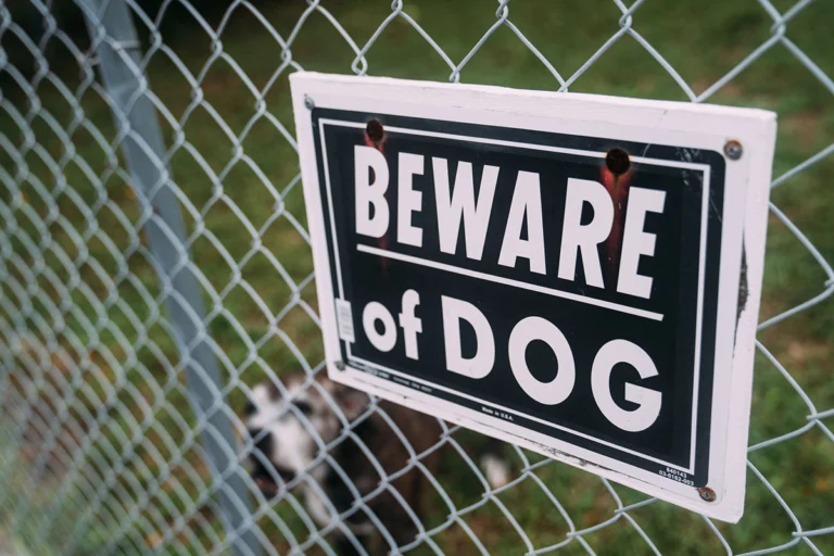 A Beware of Dog sign hangs on a chain-link fence. A barking dog is pictured in the background.